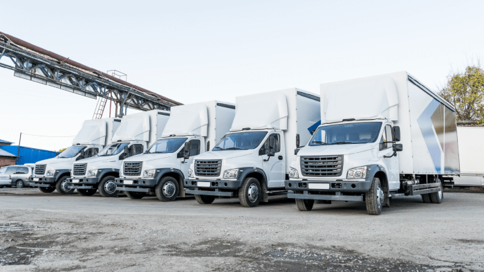 Fleet insurance for car rental company