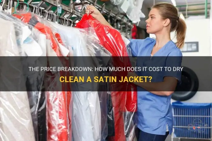 Latestgadget remover stain How much to dry clean a jacket