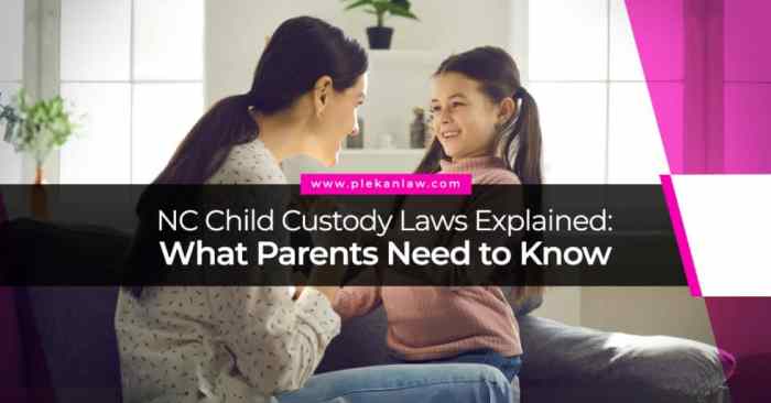 How to win sole custody in nc