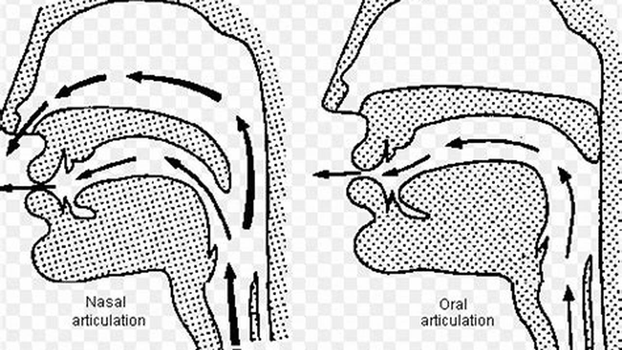 The Definitive Guide to Mastering Head Voice Without Nasality