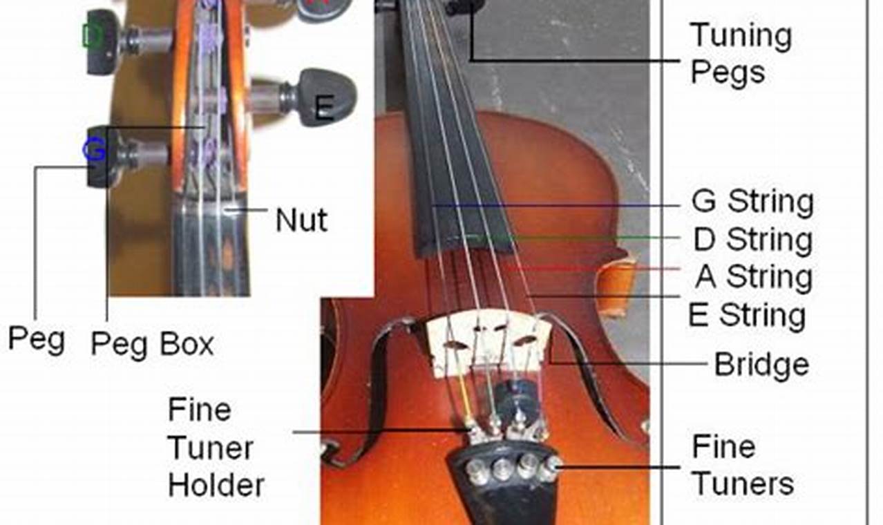 Learn How to String a Violin: A Step-by-Step Guide