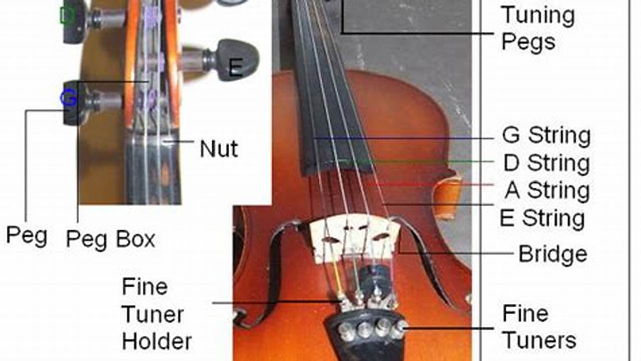 Learn How to String a Violin: A Step-by-Step Guide