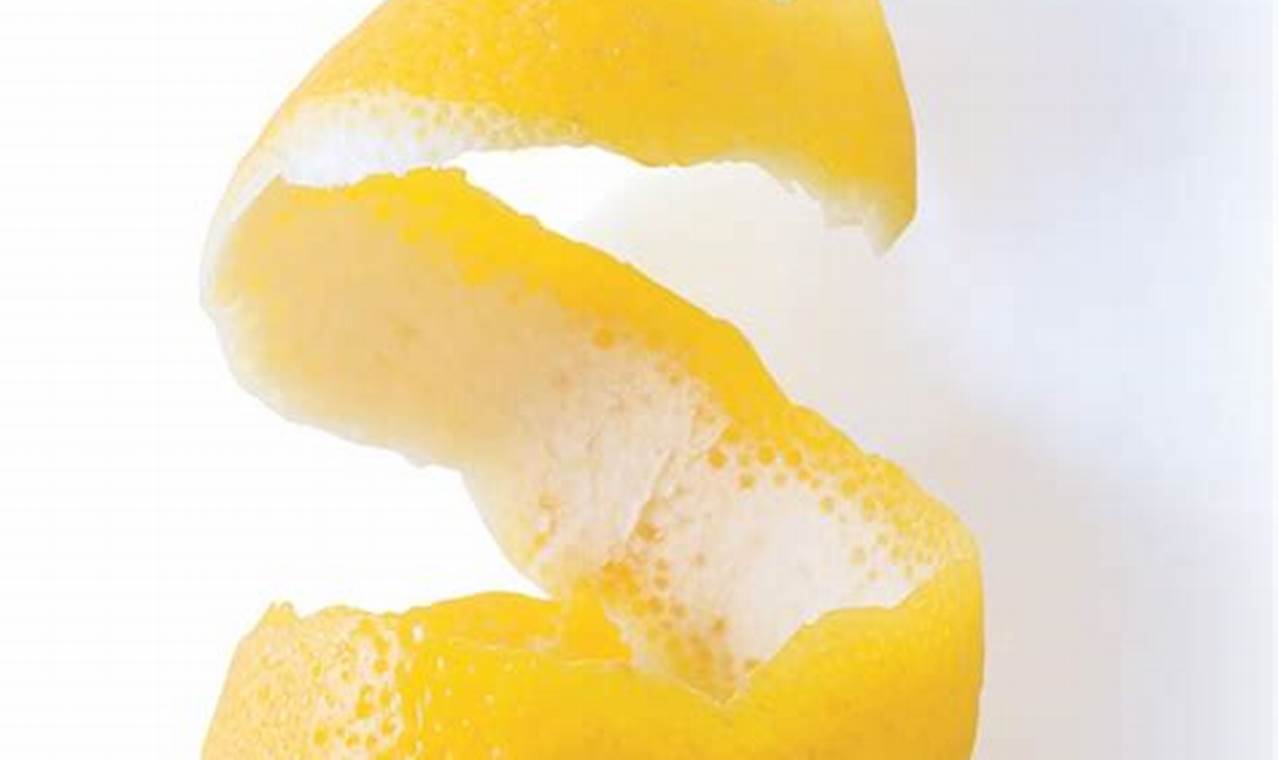 How to Make the Perfect Lemon Twist Garnish: A Must-Have for Your Cocktails