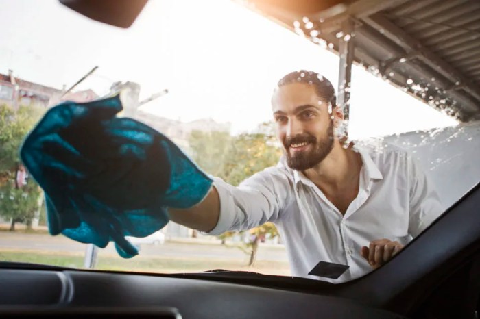 Bugs windshield remedies How to get bugs off windshield