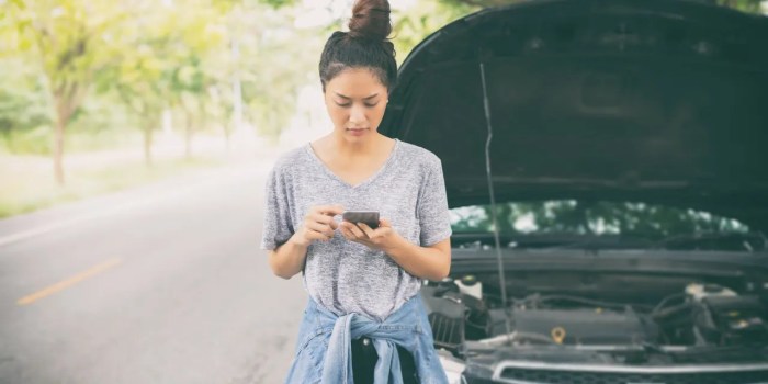 Aaa vs state farm car insurance