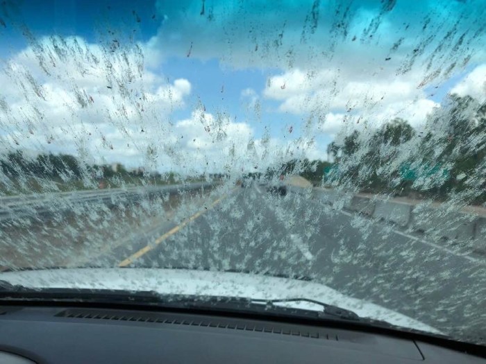How to get bugs off windshield