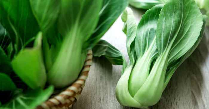 Freeze bok choy choi How to freeze bok choy