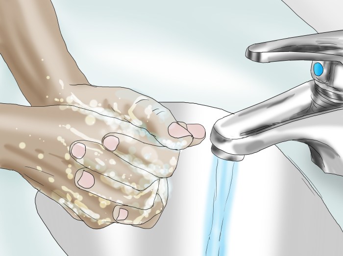 Sheath cleaning sedation How to clean horse sheath