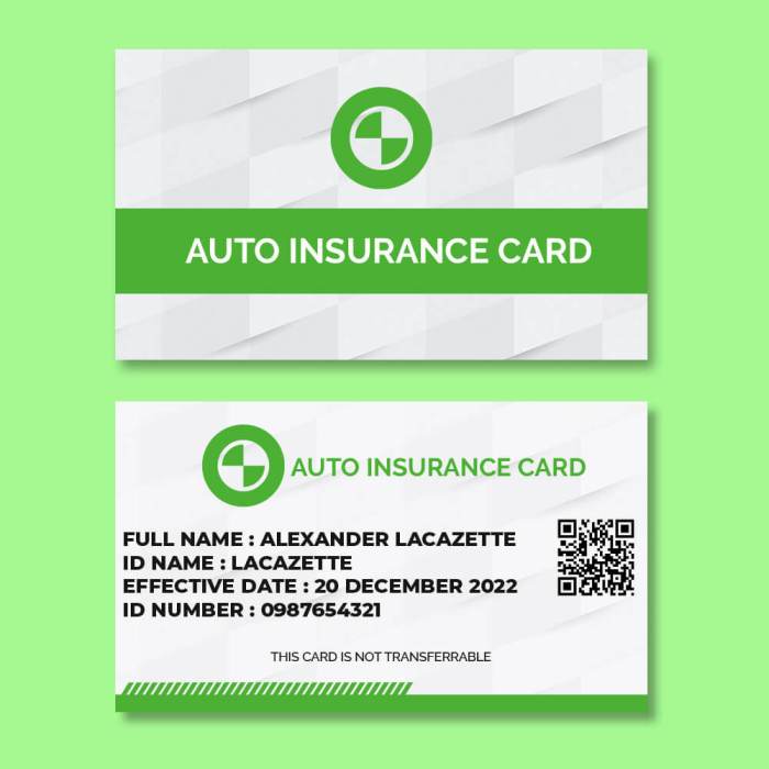Example of car insurance card