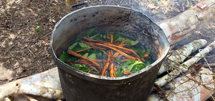 Ayahuasca vital How to cook ayahuasca
