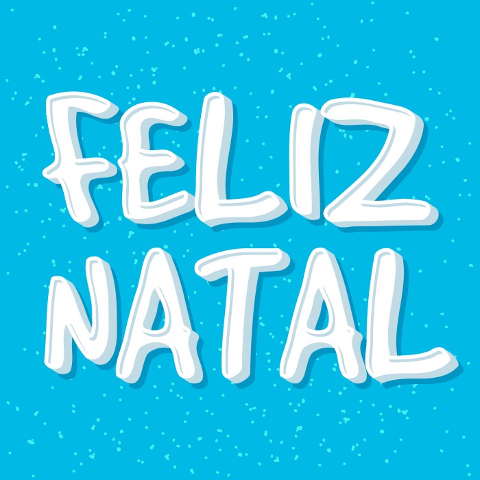 How to say merry christmas in portuguese