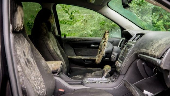 How to clean mold off car seats