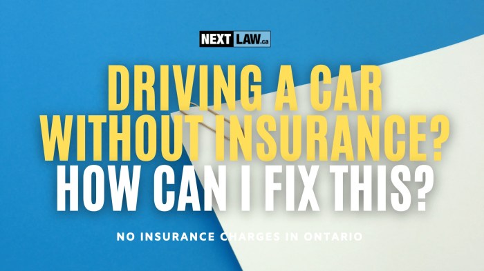 Can you get arrested for not having car insurance