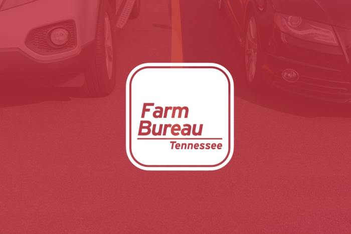 Farm bureau insurance rental car