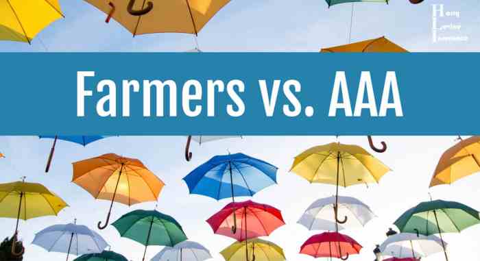 Aaa vs state farm car insurance