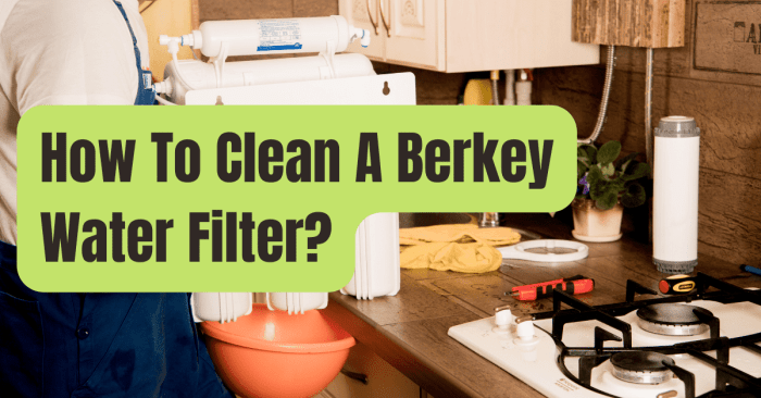 How to clean berkey filter