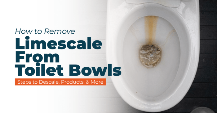 How to clean limescale from toilet