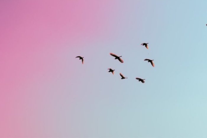 How to surrender to the universe