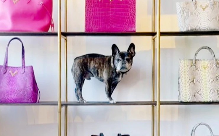 Taxidermy How much to taxidermy a dog