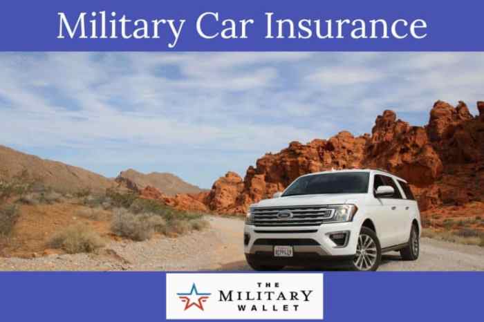Usaa car insurance military grandparent