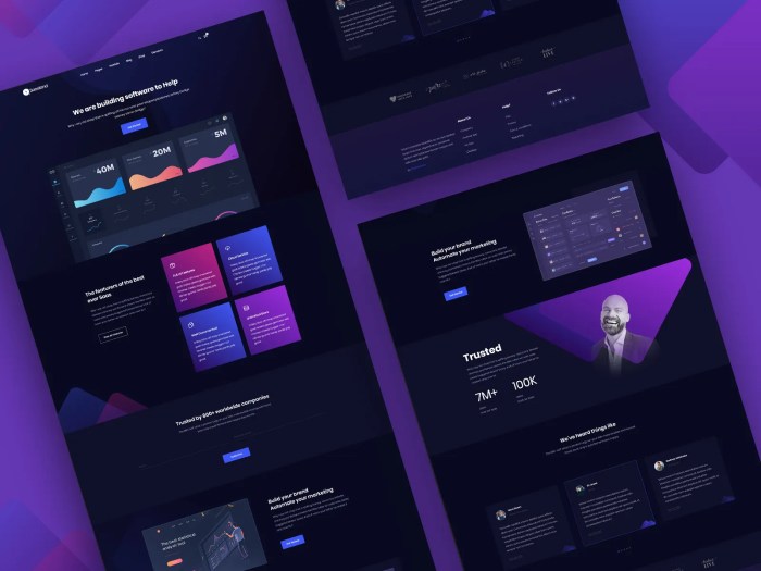 How to remove tracking code from saasland theme