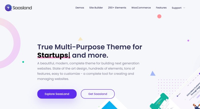 How to remove tracking code from saasland theme